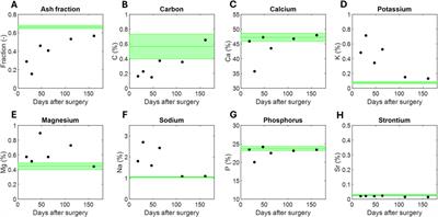 On the influence of structural and chemical properties on the elastic modulus of woven bone under healing